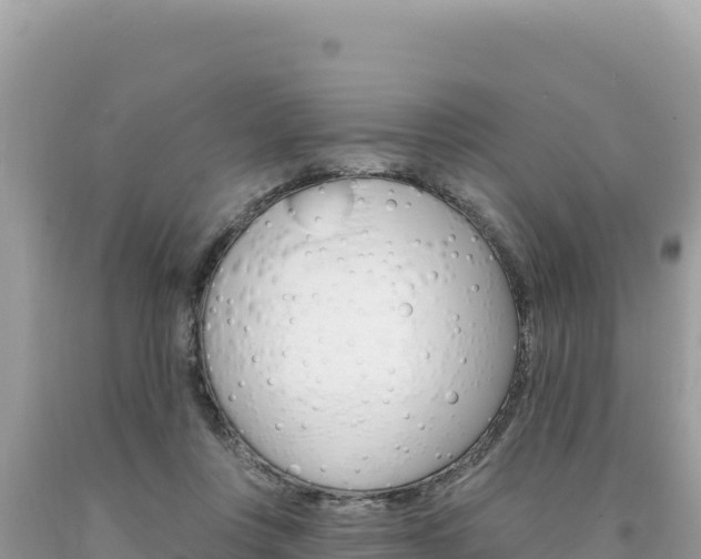 X0000094190359200710261000