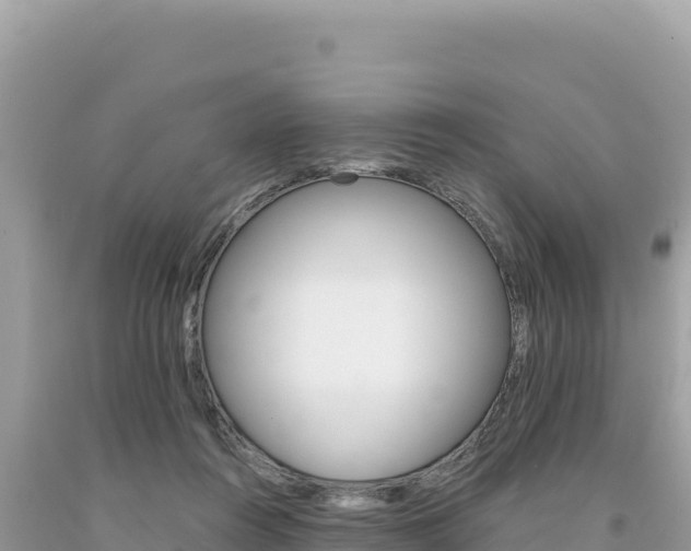 X0000094190360200710261000