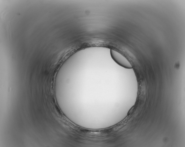 X0000094190361200710261000