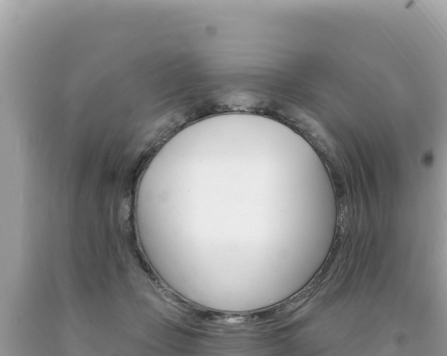 X0000094190365200710261000