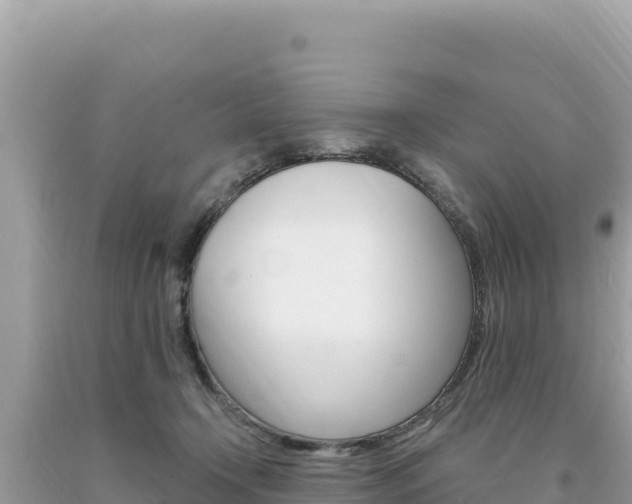 X0000094190366200710261000