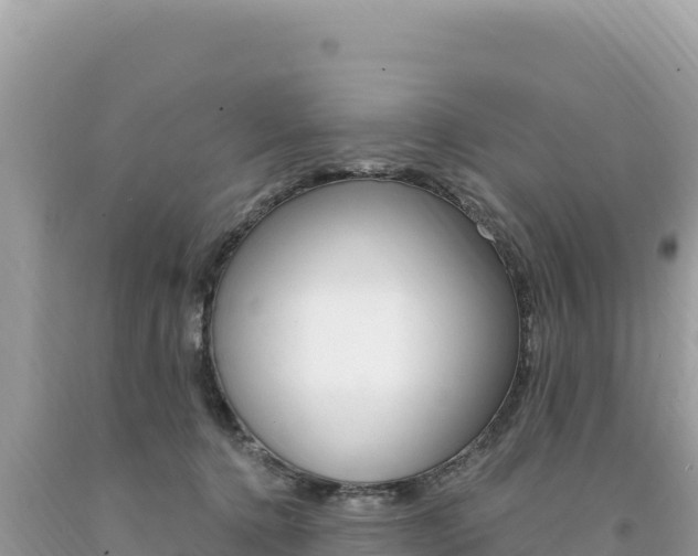X0000094190368200710261000