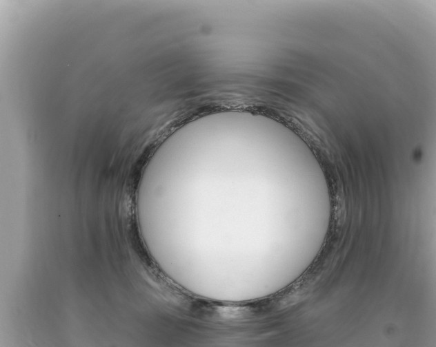 X0000094190371200710261000
