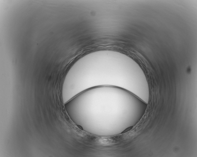 X0000094190372200710261000