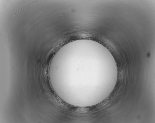X0000094190373200710261000
