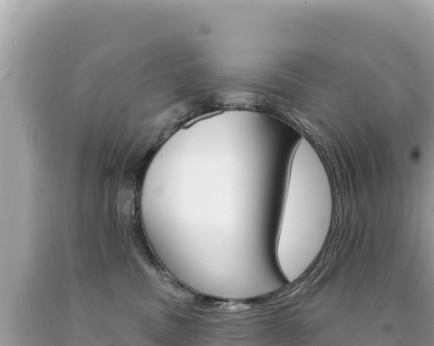 X0000094190379200710261000