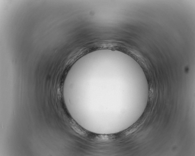 X0000094190381200710261000