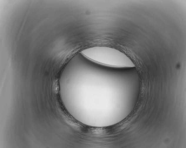X0000094190383200710261000