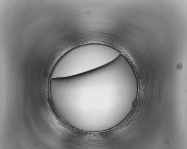 X0000094190386200710260959