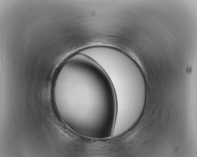 X0000094190387200710260959