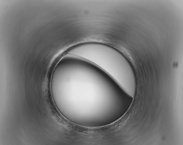 X0000094190388200710260959