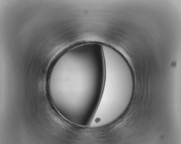 X0000094190391200710260959