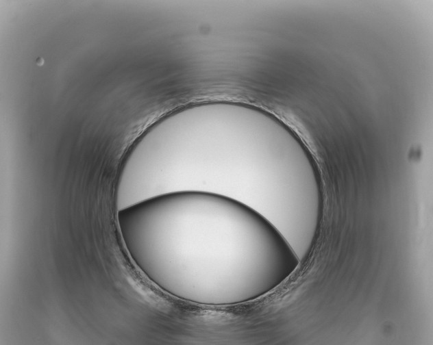 X0000094190393200710260959