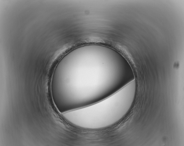 X0000094190395200710260959
