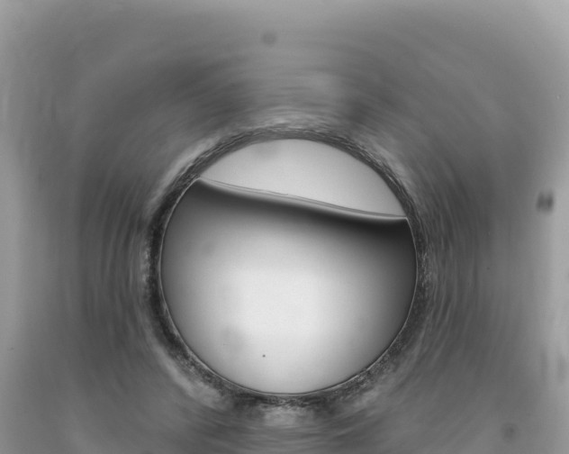 X0000094190400200710260959