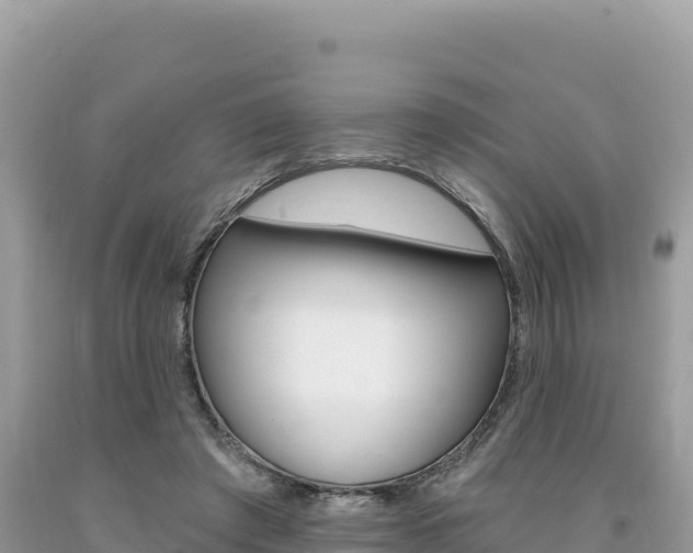 X0000094190401200710260959
