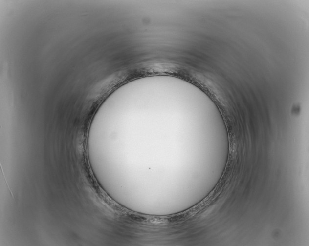 X0000094190402200710260959