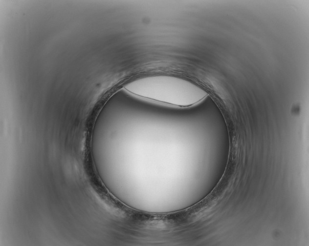 X0000094190404200710260959
