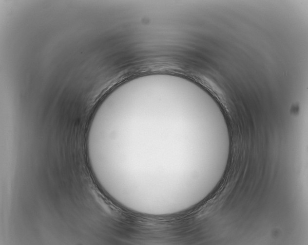 X0000094190405200710260959