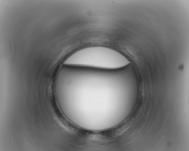 X0000094190408200710260959