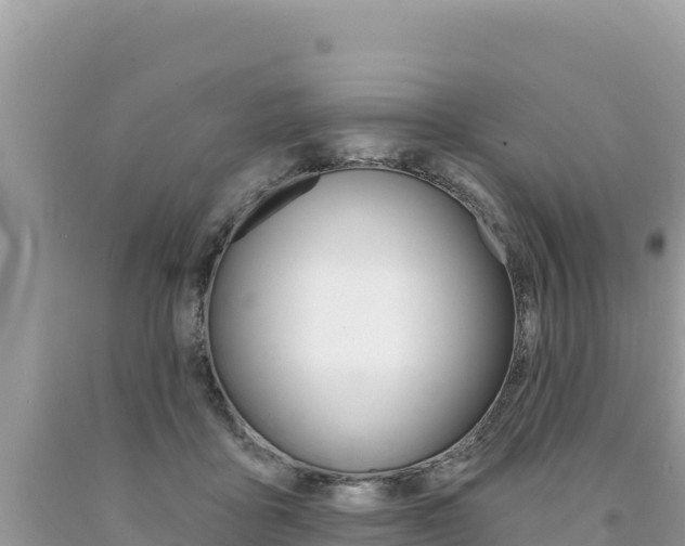 X0000094190411200710260959