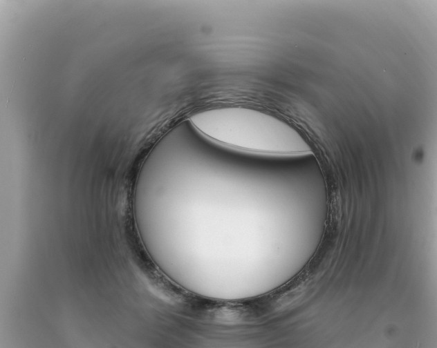 X0000094190412200710260959