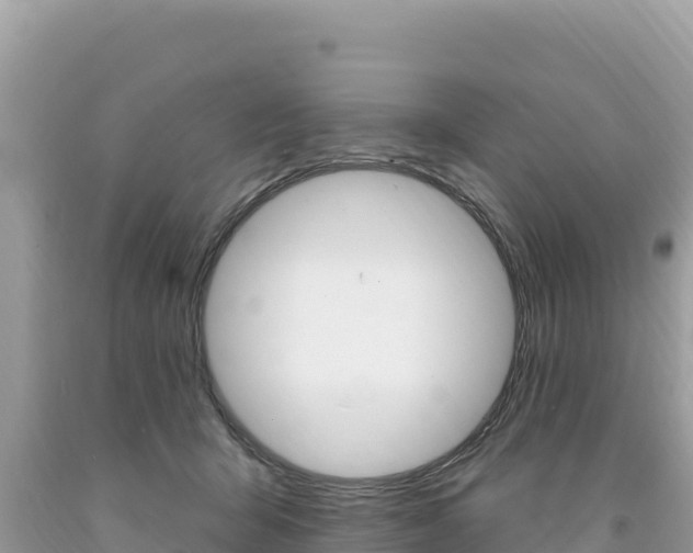 X0000094190415200710260959