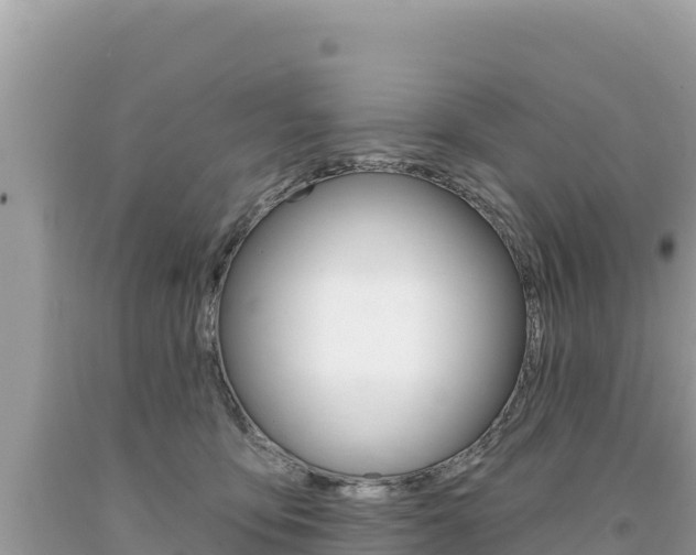 X0000094190419200710260959