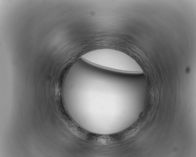 X0000094190420200710260959