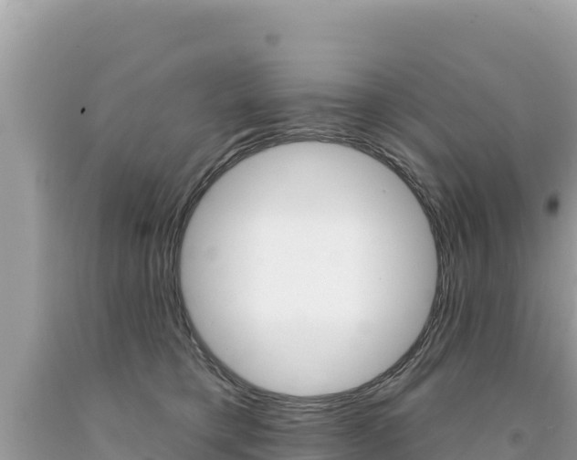 X0000094190421200710260959