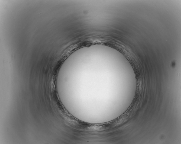 X0000094190422200710260959
