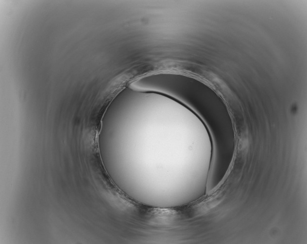 X0000094190429200710260958