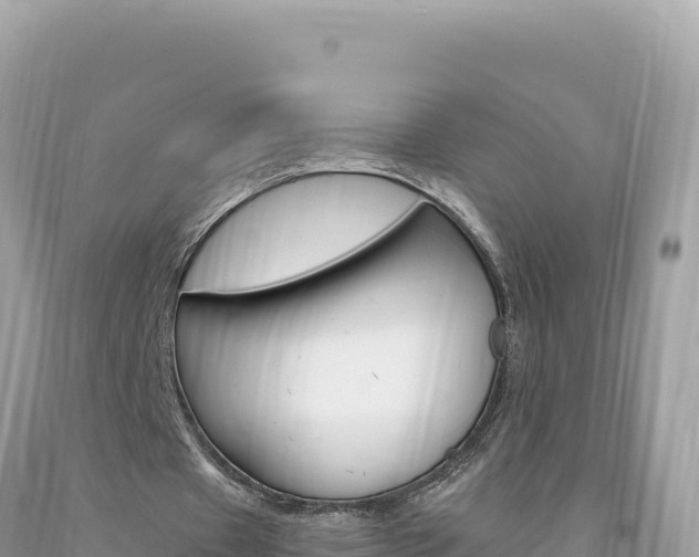 X0000094190433200710260958