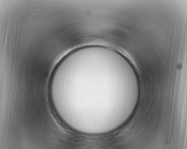 X0000094190436200710260958