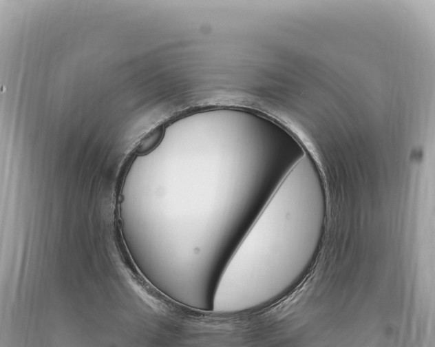 X0000094190437200710260958
