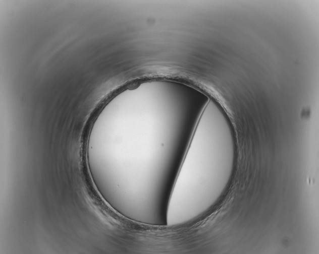 X0000094190439200710260958