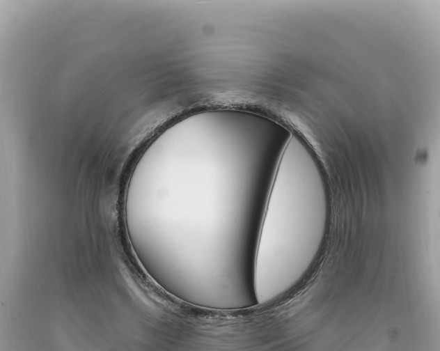 X0000094190443200710260958