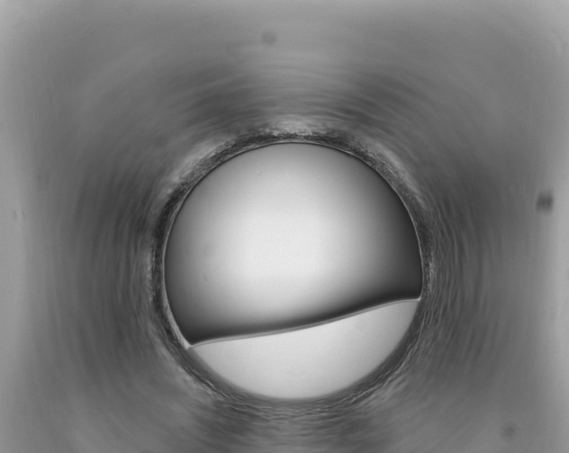 X0000094190444200710260958