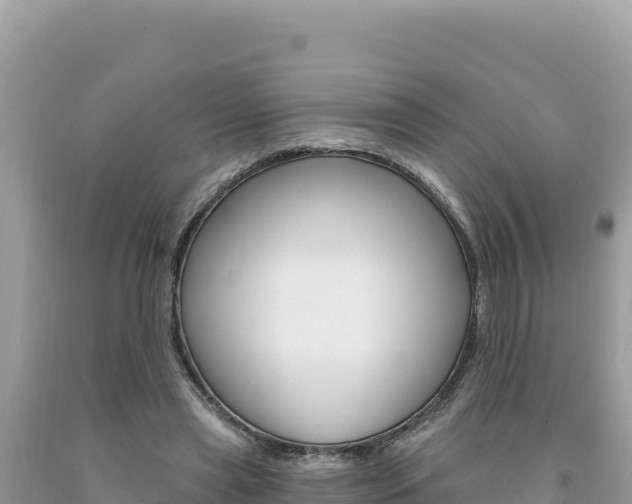 X0000094190445200710260958