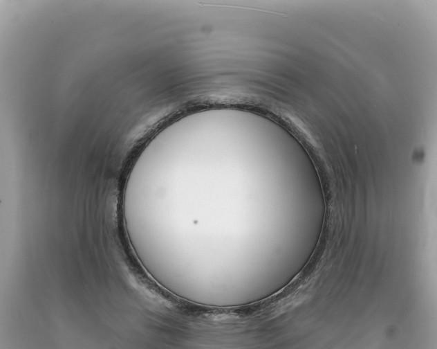 X0000094190446200710260958