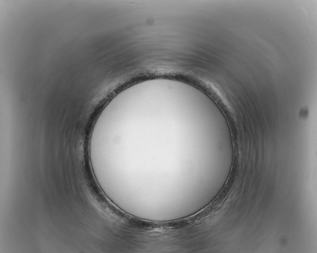 X0000094190447200710260958
