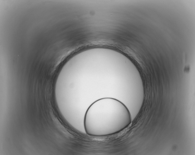 X0000094190448200710260958