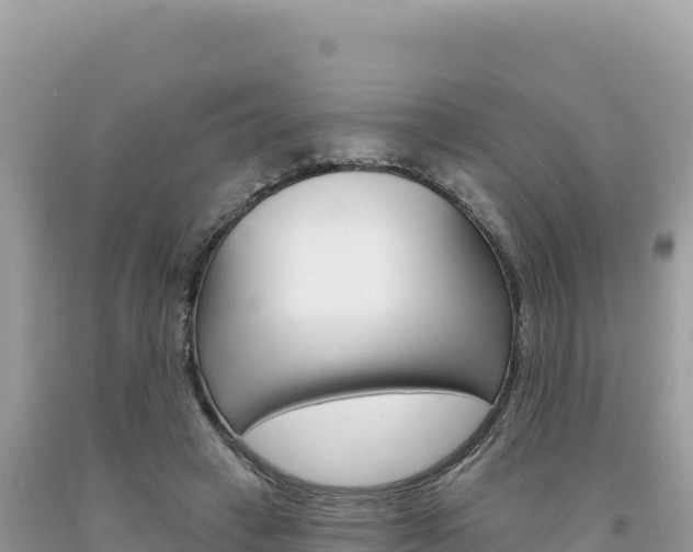 X0000094190449200710260958