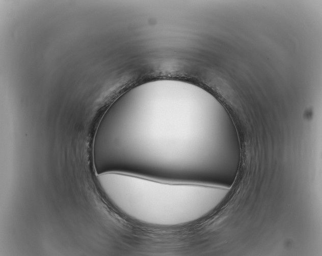 X0000094190450200710260958