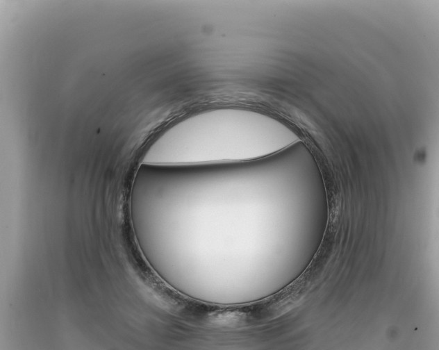 X0000094190452200710260958