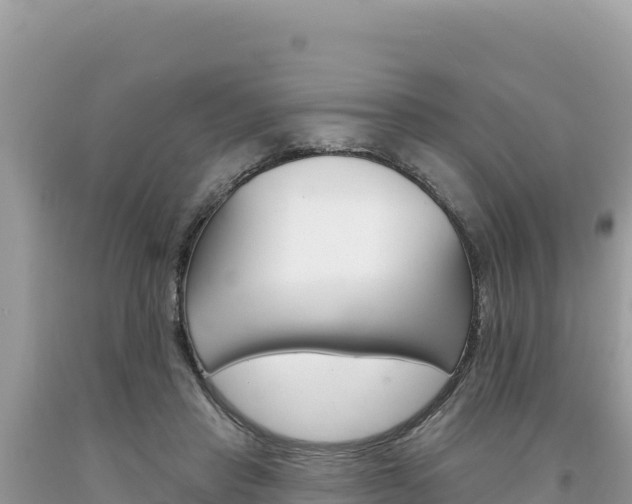 X0000094190453200710260958