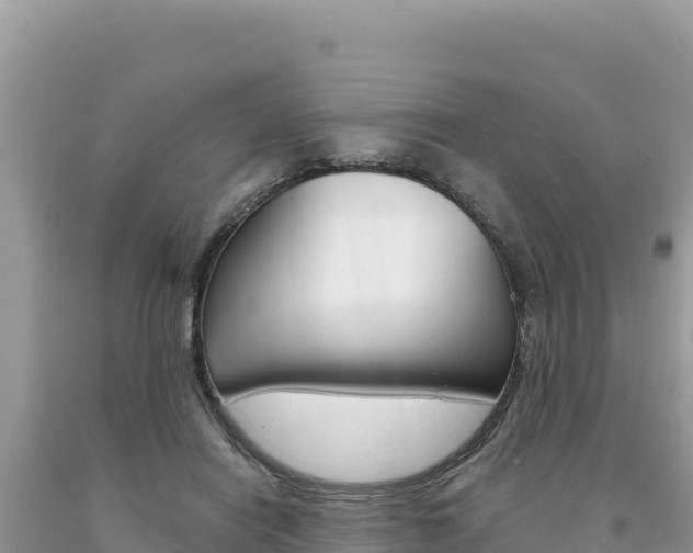 X0000094190454200710260958