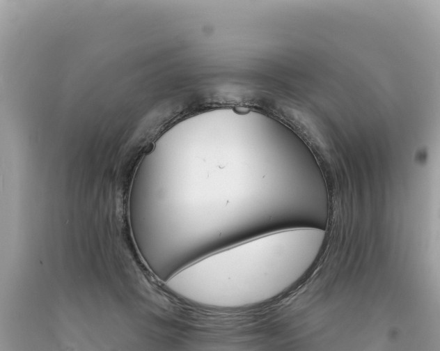 X0000094190457200710260958