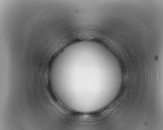 X0000094190460200710260958