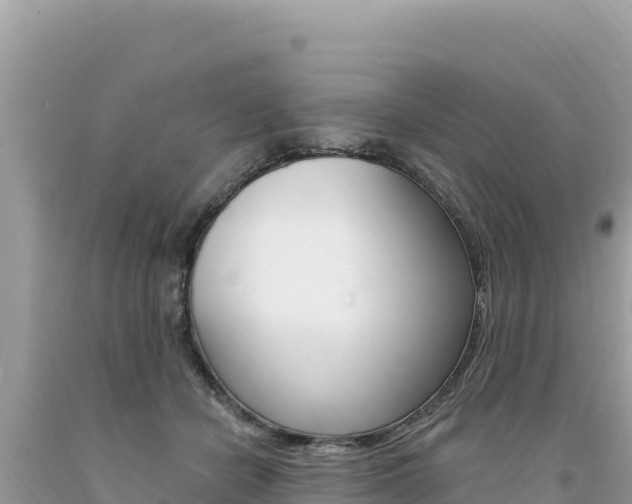 X0000094190462200710260958